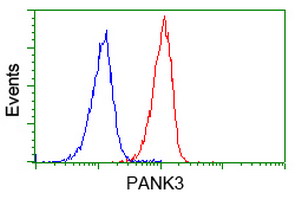 Flow cytometry of Jurkat cells, using anti-PANK3 antibody (Red), compared to a nonspecific negative control antibody (Blue).
