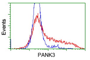 HEK293T cells transfected with either overexpress plasmid (Red) or empty vector control plasmid (Blue) were immunostained by anti-PANK3 antibody, and then analyzed by flow cytometry.