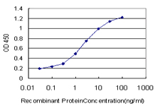 Detection limit for recombinant GST tagged MFNG is approximately 0.1 ng/ml as a capture antibody.