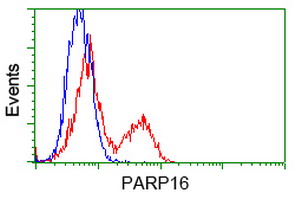 HEK293T cells transfected with either pCMV6-ENTRY PARP16 (Red) or empty vector control plasmid (Blue) were immunostained with anti-PARP16 mouse monoclonal(Dilution 1:1,000), and then analyzed by flow cytometry.