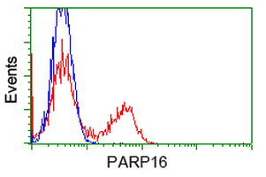 HEK293T cells transfected with either pCMV6-ENTRY PARP16 (Red) or empty vector control plasmid (Blue) were immunostained with anti-PARP16 mouse monoclonal(Dilution 1:1,000), and then analyzed by flow cytometry.