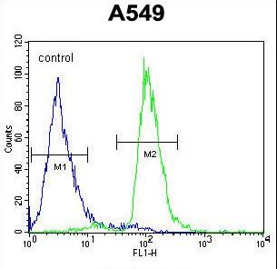 C12orf48 Antibody flow cytometry of A549 cells (right histogram) compared to a negative control cell (left histogram). FITC-conjugated goat-anti-rabbit secondary antibodies were used for the analysis.