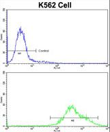 Flow cytometric of K562 cells using PAX3 Antibody (bottom histogram) compared to a negative control cell (top histogram)FITC-conjugated goat-anti-rabbit secondary antibodies were used for the analysis.