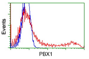 HEK293T cells transfected with either overexpress plasmid (Red) or empty vector control plasmid (Blue) were immunostained by anti-PBX1 antibody, and then analyzed by flow cytometry.