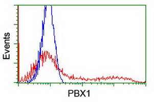 HEK293T cells transfected with either overexpress plasmid (Red) or empty vector control plasmid (Blue) were immunostained by anti-PBX1 antibody, and then analyzed by flow cytometry.