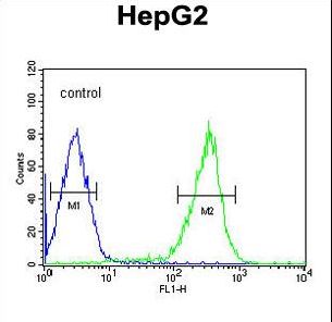 PCBD1 Antibody flow cytometry of HepG2 cells (right histogram) compared to a negative control cell (left histogram). FITC-conjugated goat-anti-rabbit secondary antibodies were used for the analysis.