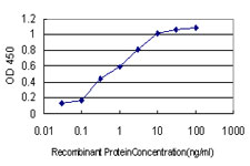 Detection limit for recombinant GST tagged PCDH1 is approximately 0.03 ng/ml as a capture antibody.
