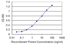 Detection limit for recombinant GST tagged PCDH10 is 0.1 ng/ml as a capture antibody.