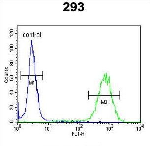 PCDH17 Antibody flow cytometry of 293 cells (right histogram) compared to a negative control cell (left histogram). FITC-conjugated goat-anti-rabbit secondary antibodies were used for the analysis.