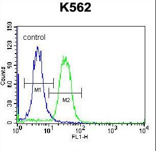 PCDHA6 Antibody flow cytometry of K562 cells (right histogram) compared to a negative control cell (left histogram). FITC-conjugated donkey-anti-rabbit secondary antibodies were used for the analysis.