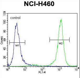 PCDHA9 Antibody flow cytometry of NCI-H460 cells (right histogram) compared to a negative control cell (left histogram). FITC-conjugated goat-anti-rabbit secondary antibodies were used for the analysis.