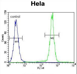 PCDHB10 Antibody flow cytometry of HeLa cells (right histogram) compared to a negative control cell (left histogram). FITC-conjugated goat-anti-rabbit secondary antibodies were used for the analysis.