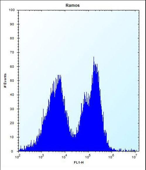 PCDHGA3 Antibody flow cytometry of Ramos cells (right histogram) compared to a negative control cell (left histogram). FITC-conjugated donkey-anti-rabbit secondary antibodies were used for the analysis.