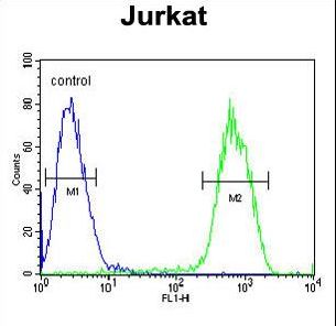 PCDHGC3 Antibody flow cytometry of Jurkat cells (right histogram) compared to a negative control cell (left histogram). FITC-conjugated goat-anti-rabbit secondary antibodies were used for the analysis.