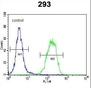 PCOTH Antibody flow cytometry of 293 cells (right histogram) compared to a negative control cell (left histogram). FITC-conjugated goat-anti-rabbit secondary antibodies were used for the analysis.