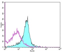 Staining of C57Bl/6 splenocytes with 0.125 ug Biotin Rat IgG2a isotype control (open histogram) or 0.125 ug Biotin anti-mouse B7-H1 (MIH5, colored histogram) followed by Streptavidin-PE. Total viable cells were used for analysis.