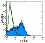 Staining of in vitro BM-derived dendritic cells from BALB/c with 0.25 ug FITC Rat IgG2a isotype control (open histogram) or 0.25 ug FITC anti-mouse B7-DC (122, colored histogram). Total viable cells were used for analysis.