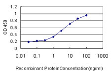 Detection limit for recombinant GST tagged MCF2L is approximately 0.03 ng/ml as a capture antibody.