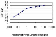Detection limit for recombinant GST tagged PDE1B is approximately 0.03 ng/ml as a capture antibody.