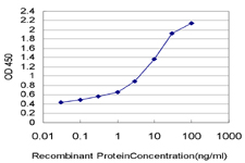 Detection limit for recombinant GST tagged PDE3B is approximately 0.03 ng/ml as a capture antibody.