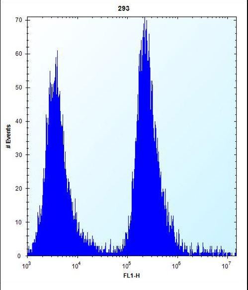 MGMT Antibody flow cytometry of 293 cells (right histogram) compared to a negative control cell (left histogram). FITC-conjugated goat-anti-rabbit secondary antibodies were used for the analysis.