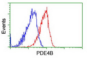 Flow cytometry of HeLa cells, using anti-PDE4B antibody (Red), compared to a nonspecific negative control antibody (Blue).