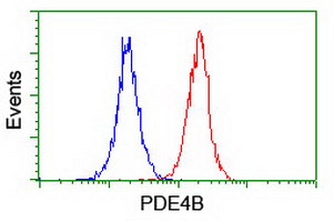 Flow cytometry of Jurkat cells, using anti-PDE4B antibody (Red), compared to a nonspecific negative control antibody (Blue).