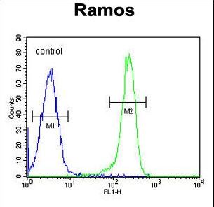 PDE4B Antibody flow cytometry of Ramos cells (right histogram) compared to a negative control cell (left histogram). FITC-conjugated goat-anti-rabbit secondary antibodies were used for the analysis.