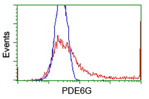 HEK293T cells transfected with either overexpress plasmid (Red) or empty vector control plasmid (Blue) were immunostained by anti-PDE6G antibody, and then analyzed by flow cytometry.