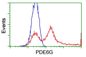 HEK293T cells transfected with either overexpress plasmid (Red) or empty vector control plasmid (Blue) were immunostained by anti-PDE6G antibody, and then analyzed by flow cytometry.