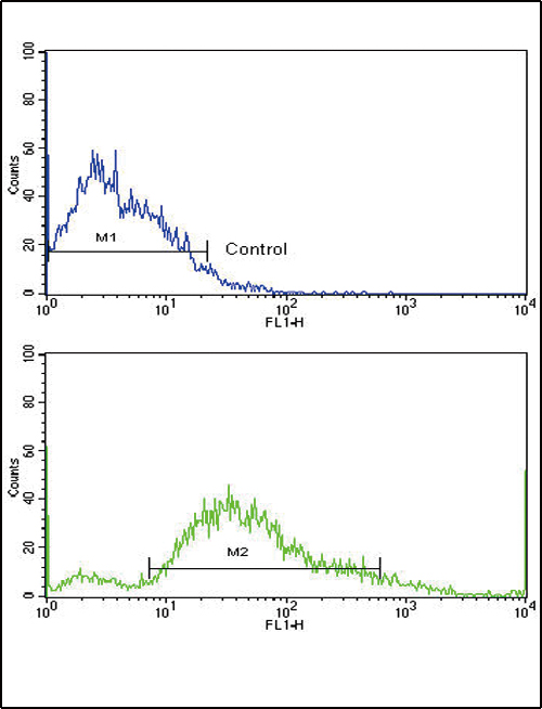 Flow cytometric of SK-Br-3 cells using PDGFRB Antibody (bottom histogram) compared to a negative control cell (top histogram). FITC-conjugated goat-anti-rabbit secondary antibodies were used for the analysis.