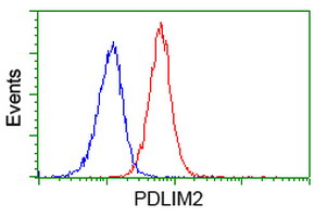 Flow cytometry of Jurkat cells, using anti-PDLIM2 antibody (Red), compared to a nonspecific negative control antibody (Blue).