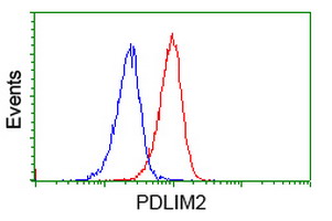 Flow cytometry of Jurkat cells, using anti-PDLIM2 antibody (Red), compared to a nonspecific negative control antibody (Blue).