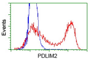 HEK293T cells transfected with either overexpress plasmid (Red) or empty vector control plasmid (Blue) were immunostained by anti-PDLIM2 antibody, and then analyzed by flow cytometry.