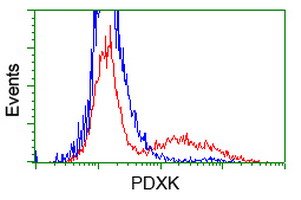 HEK293T cells transfected with either overexpress plasmid (Red) or empty vector control plasmid (Blue) were immunostained by anti-PDXK antibody, and then analyzed by flow cytometry.