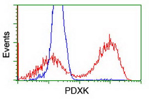 HEK293T cells transfected with either overexpress plasmid (Red) or empty vector control plasmid (Blue) were immunostained by anti-PDXK antibody, and then analyzed by flow cytometry.