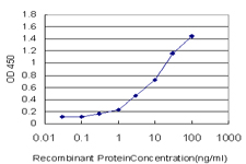 Detection limit for recombinant GST tagged PDZK1 is approximately 0.03 ng/ml as a capture antibody.