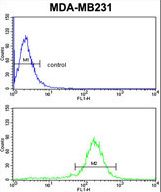 PEA-15 Antibody flow cytometry of MDA-MB231 cells (bottom histogram) compared to a negative control cell (top histogram). FITC-conjugated goat-anti-rabbit secondary antibodies were used for the analysis.