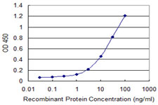 Detection limit for recombinant GST tagged IFNA13 is 0.3 ng/ml as a capture antibody.