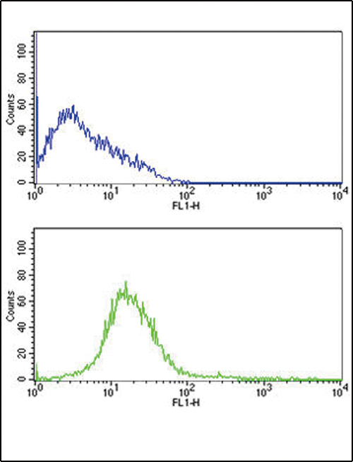 CD31 Antibody flow cytometry of HL60 cells (bottom histogram) compared to a negative control cell (top histogram). FITC-conjugated goat-anti-rabbit secondary antibodies were used for the analysis.