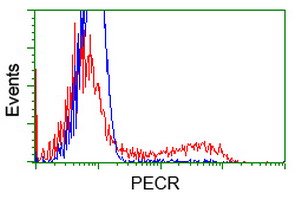 HEK293T cells transfected with either overexpress plasmid (Red) or empty vector control plasmid (Blue) were immunostained by anti-PECR antibody, and then analyzed by flow cytometry.