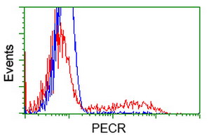 HEK293T cells transfected with either overexpress plasmid (Red) or empty vector control plasmid (Blue) were immunostained by anti-PECR antibody, and then analyzed by flow cytometry.
