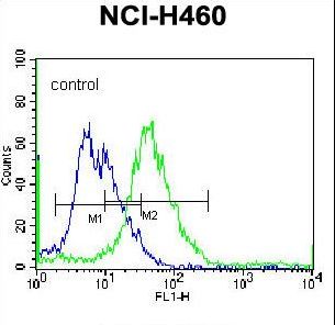 PELI3 Antibody flow cytometry of NCI-H460 cells (right histogram) compared to a negative control cell (left histogram). FITC-conjugated donkey-anti-rabbit secondary antibodies were used for the analysis.
