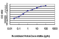 Detection limit for recombinant GST tagged PER2 is approximately 0.03 ng/ml as a capture antibody.