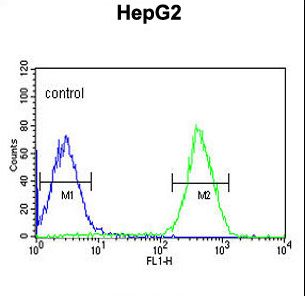 PUR4 Antibody flow cytometry of HepG2 cells (right histogram) compared to a negative control cell (left histogram). FITC-conjugated goat-anti-rabbit secondary antibodies were used for the analysis.