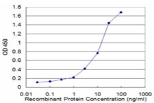 Detection limit for recombinant GST tagged PFN2 is approximately 0.1 ng/ml as a capture antibody.