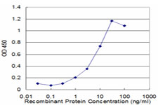 Detection limit for recombinant GST tagged PGAM1 is approximately 0.3 ng/ml as a capture antibody.