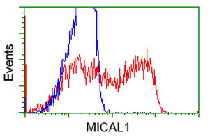 HEK293T cells transfected with either overexpress plasmid (Red) or empty vector control plasmid (Blue) were immunostained by anti-MICAL1 antibody, and then analyzed by flow cytometry.