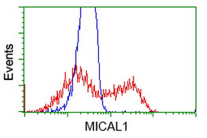 HEK293T cells transfected with either overexpress plasmid (Red) or empty vector control plasmid (Blue) were immunostained by anti-MICAL1 antibody, and then analyzed by flow cytometry.