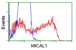 HEK293T cells transfected with either overexpress plasmid (Red) or empty vector control plasmid (Blue) were immunostained by anti-MICAL1 antibody, and then analyzed by flow cytometry.